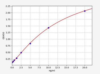 Human ZNT8 ELISA Kit