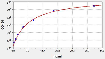 Human MTR ELISA Kit
