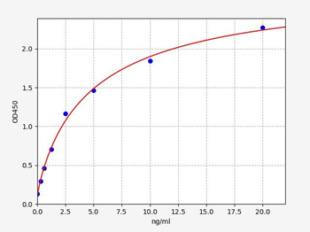 Human DSE ELISA Kit