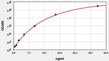 Human FⅫa(Activated Coagulation Factor Ⅻ) ELISA Kit