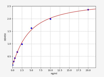 Human Bcl2L12 ELISA Kit