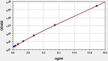 Porcine CKMB ELISA Kit