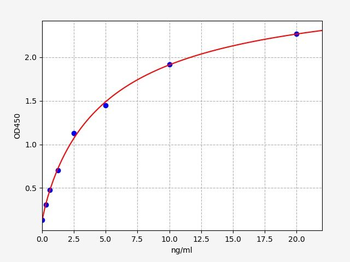 Rabbit CASP3 ELISA Kit