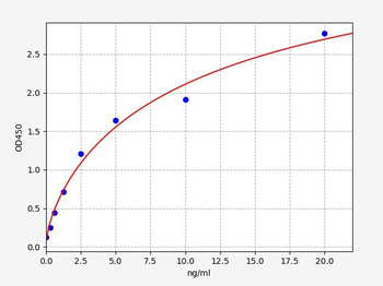 Rabbit MMP-2 ELISA Kit