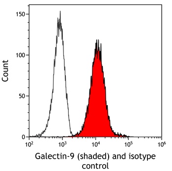 Rabbit anti-Galectin-9/Gal-9 Recombinant Monoclonal Antibody