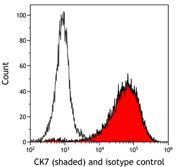 Rabbit CK7 Recombinant Monoclonal Antibody