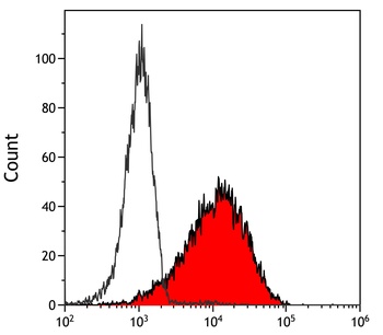 Rabbit PU.1 Recombinant Monoclonal Antibody