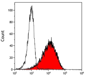 Rabbit PU.1 Recombinant Monoclonal Antibody