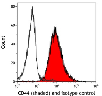 Rabbit anti-CD44 Recombinant Monoclonal Antibody