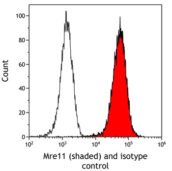 Rabbit Mre11 Antibody