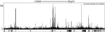 Rabbit CHD1 Antibody