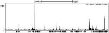 Rabbit NCoR Antibody