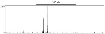 Rabbit Estrogen Receptor Alpha Antibody