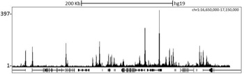 Rabbit RbBP5 Antibody