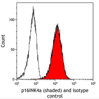 Mouse anti-p16INK4a Recombinant Monoclonal Antibody