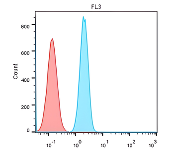 CD56/NCAM1 Antibody