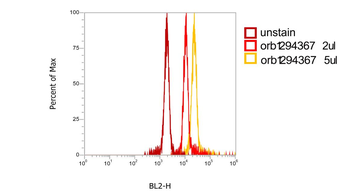 CD45 (Extracellular) Antibody