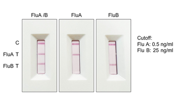 Influenza A Virus Nucleoprotein, Detection antibody [BS772]