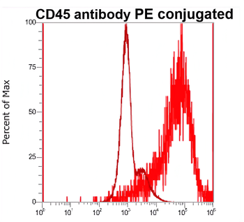Immune Cell Population Antibody Panel