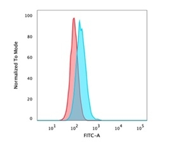 p40 / deltaNp63 Antibody