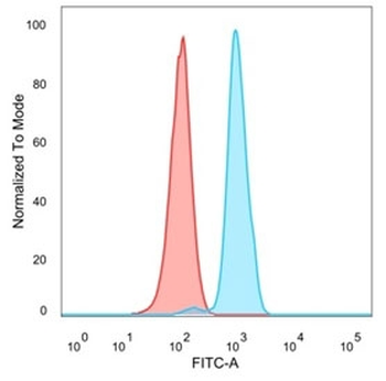 RBM8A/Y14 Antibody