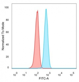 ZXDC Antibody / ZXD-like zinc finger protein