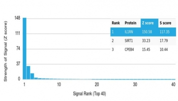 IL1RA Antibody / Interleukin-1 Receptor Antagonist / IL1RN
