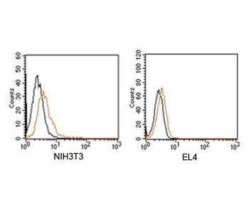Rabbit IgG Isotype Control Polyclonal Antibody PE Conjugate