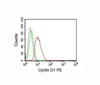 Cyclin D1 Antibody PE Conjugate