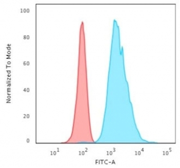 Cytokeratin 8 Antibody