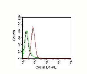Cyclin D1 Antibody PE Conjugate