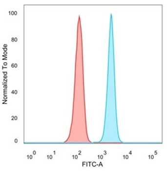 QKI Antibody / Protein Quaking