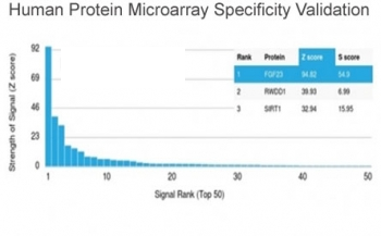 FGF-23 Antibody / Fibroblast Growth Factor 23