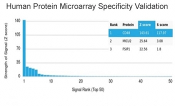 CD48 Antibody (Pan Leukocyte Marker)