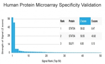 STAT5A Antibody