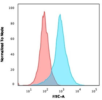 PECAM-1 Antibody / CD31