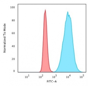 Histone H1 Antibody