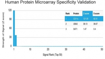CD11c Antibody