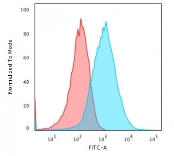 gp96 Antibody / GRP94 / HSP90B1