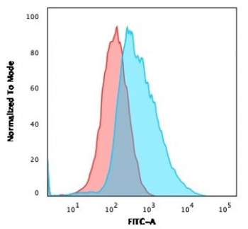 Plakoglobin Antibody / Gamma Catenin