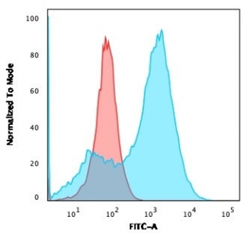 FSP1 Antibody / S100A4