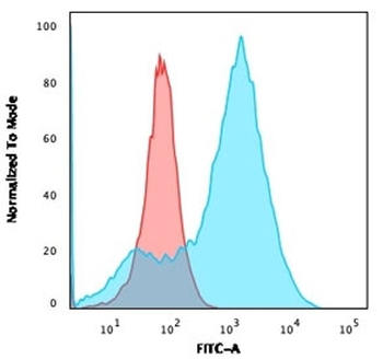 S100A4 Antibody / FSP1