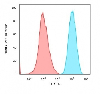 Recombinant B2M Antibody / Beta-2 Microglobulin