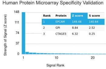 Recombinant EpCAM Antibody / Extracellular domain