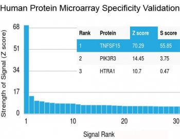 Recombinant TNFSF15 Antibody / TL1A / VEGI