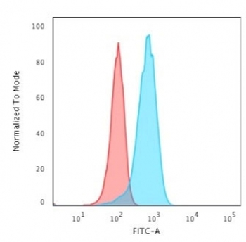 Recombinant PGP9.5 Antibody