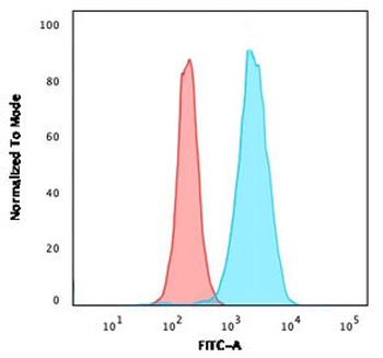 Recombinant CD45RB Antibody / Rabbit Monoclonal