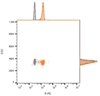 Recombinant CD81 Antibody