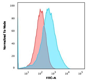 MSH6 Antibody