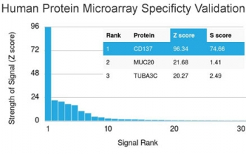 CD137 Antibody / 4-1BB / TNFRSF9